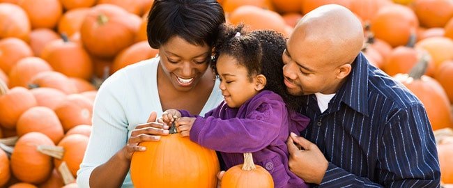 Fall Picks